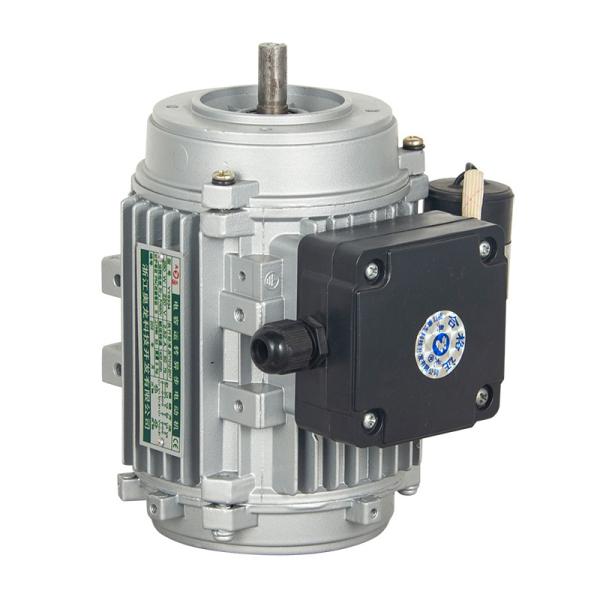 Filter Special Motor