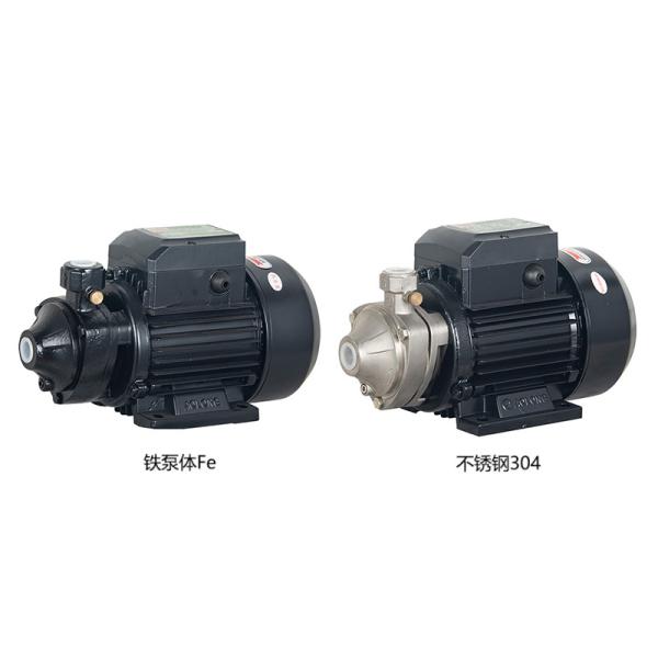 High Pressure Vortex Pump