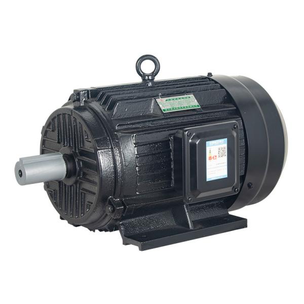 Variable Frequency Adjustable Speed Three-Phase Induction Motor